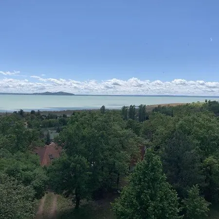 Szasza Дом отдыха