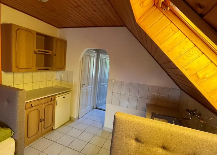 Szasza Сasa de vacaciones *